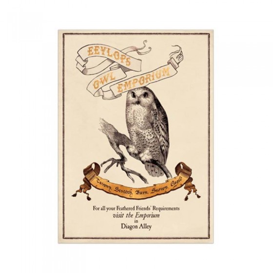 Poster Harry Potter Owl emporium 50x70cm - Affiches et posters Déco
