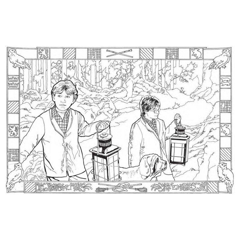 Harry Potter le livre de coloriages Loisirs créatifs et cahiers d