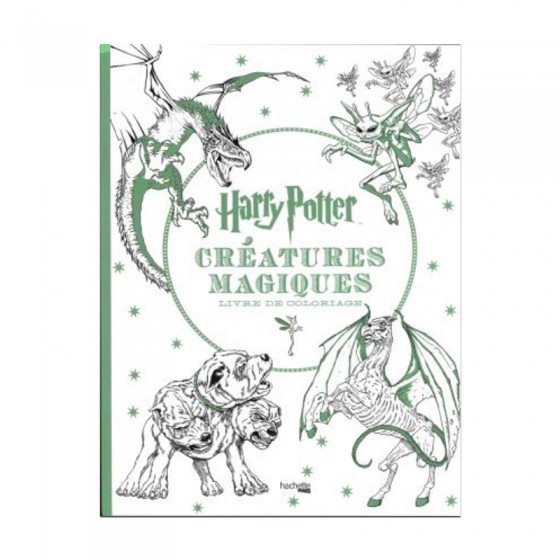 Livre de coloriages Harry Potter – La boutique Aux 2 Balais