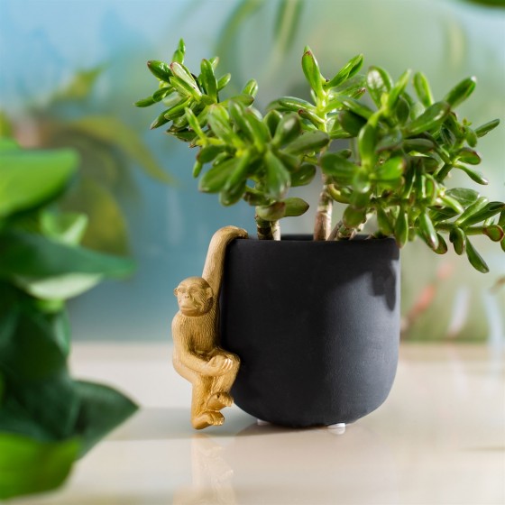 Pot pour plante - 4,5 cm- déco et cache pots pour plantes