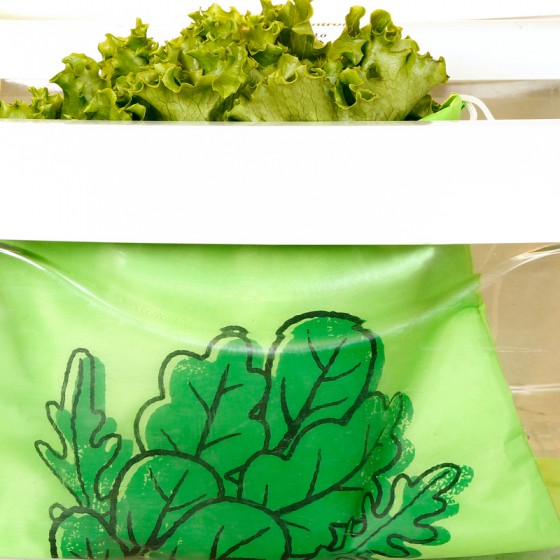 Sac de conservation fraicheur, sac à salade, sac à légumes, zero dechet -   France